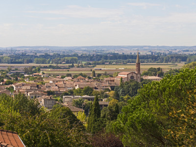 Grisolles Tarn et Garonne Vitrine @rt'